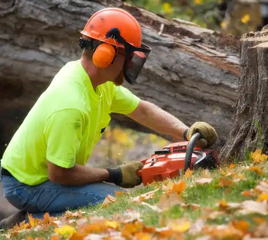 tree services Nags Head